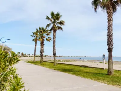a sidewalk next to a beach with palm trees at Appartement Gruissan - Parking Privé, Animaux Acceptés - FR-1-409A-16 in Gruissan