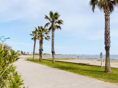 a sidewalk next to a beach with palm trees at Appartement lumineux à Gruissan, 2 chambres, proche plage, parking sécurisé, mini-box WIFI, non-fumeur - FR-1-409A-15 in Gruissan
