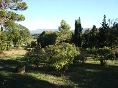 a garden with trees and bushes in a field at Hong Kong Guest room in the heart of the vineyard no69 in Badens