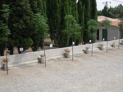 a row of potted plants on poles in front of a wall at Londres guest room in the heart of the vineyard no123 in Badens