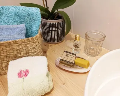 a table with towels and soap and a plant at L'écurie de Gamin - gîte 4 pers. dans le Minervois in Aigues-Vives