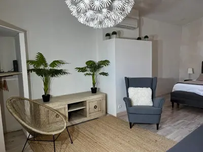 a living room with a chair and a table with plants at La Cité Secrète in Carcassonne