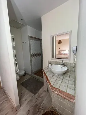 a bathroom with a sink and a mirror at La Cité Secrète in Carcassonne