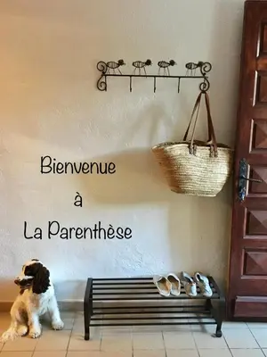 a dog sitting on the floor in a room with a bench at La Parenthèse in Tautavel