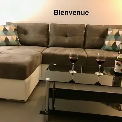 NARBONNE : SUPER APPARTEMENT DE QUALITÉ