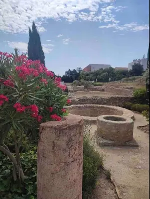 a garden with some pink flowers and some rocks at Soleil Sucré T2 Centre historique de Narbonne in Narbonne