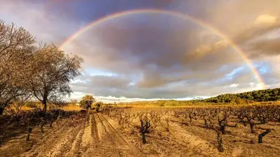 a rainbow in the sky over a vineyard at Le point BE - Magnifique villa avec piscine chauffée - de mai à septembre - pour 6 personnes in Ornaisons
