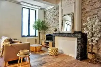 a living room with a couch and a fireplace at Le Patio in Carcassonne