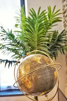 a gold globe sitting in front of a plant at Le Patio in Carcassonne