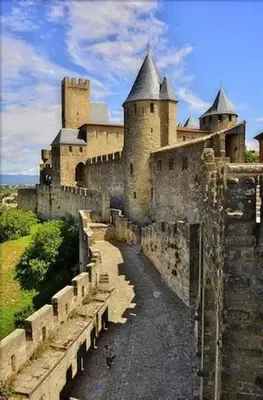 a large castle with a bridge in front of it at Le Patio in Carcassonne