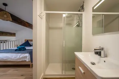 a bathroom with a shower and a sink and a bed at L'Apothicaire Proche des Halles in Narbonne