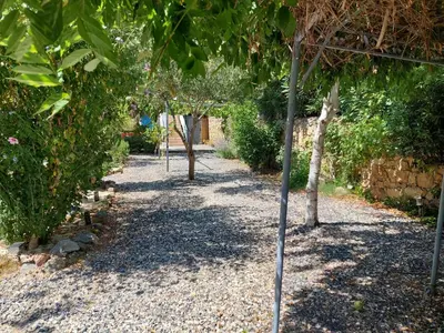 a row of trees in a garden at Chambres d'hôtes : Les maisons de Gaïa in Tuchan