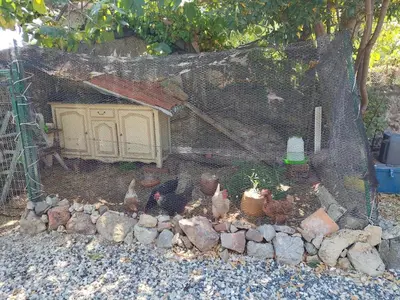a small garden with chickens in front of a house at Chambres d'hôtes : Les maisons de Gaïa in Tuchan