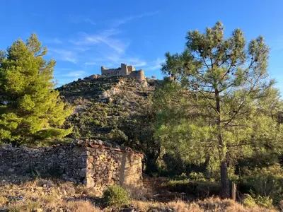 a castle on top of a hill with trees at Chambres d'hôtes : Les maisons de Gaïa in Tuchan