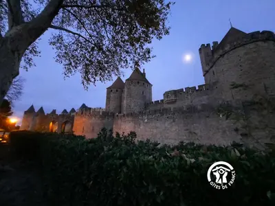 a castle at night with the moon in the sky at Loft cocon climatisé - Imprenable vue sur le château Comtal in Carcassonne
