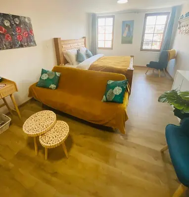 a living room with a bed and a couch at Hôte Labyrinthe sur la place chambres d, hôtes , calme ,Netflix in Mirepoix
