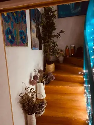 a group of potted plants on a wooden staircase at Hôte Labyrinthe sur la place chambres d, hôtes , calme ,Netflix in Mirepoix