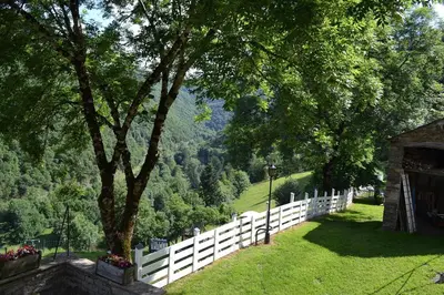 a white fence and a tree next to a field at La Gorge in Lacrouzette