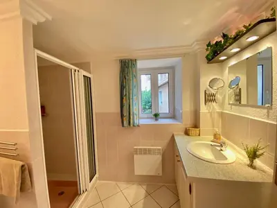 a bathroom with a sink and a shower and a mirror at Centre of Olonzac, 2 bedrooms & private sunny rooftop terrace in Olonzac
