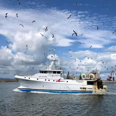 a white boat in the water with a flock of birds at Appart T2 vue imprenable sur le canal et la mer in Port-la-Nouvelle