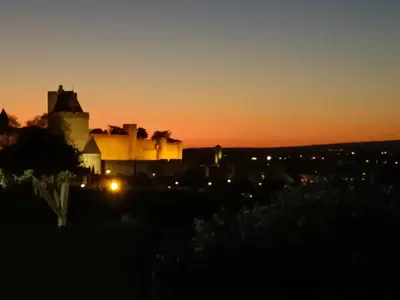 a view of a castle at sunset at Péniche Mirage-chambre d'hôtes in Carcassonne