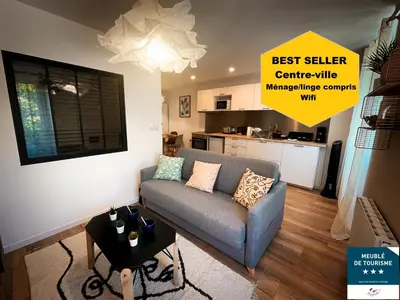 a living room with a couch and a table at Au cœur de Castres, logement cosy classé 3*** in Castres