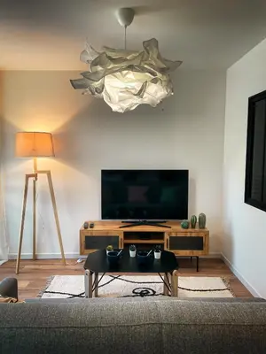 a living room with a couch and a flat screen tv at Au cœur de Castres, logement cosy classé 3*** in Castres