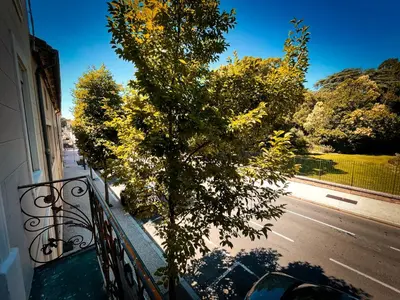 a tree sitting on a balcony next to a street at Au cœur de Castres, logement cosy classé 3*** in Castres