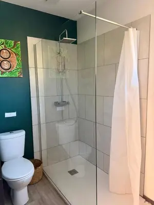 a bathroom with a shower with a toilet at Maison 6 places, en plein cœur de l’Ariège, proche ski et nature in Lesparrou