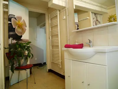 a bathroom with a sink and a mirror at Maison charmante à Aignes avec jardin et barbecue in Aignes