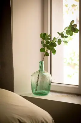 a glass vase sitting on a window sill with a plant at Vins de Dagne in Montlaur