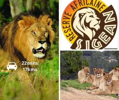 two pictures of a lion and a lion logo at Le Jungle Appart, centre ville Narbonne in Narbonne