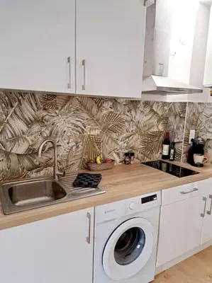 a kitchen with a sink and a washing machine at Le Jungle Appart, centre ville Narbonne in Narbonne