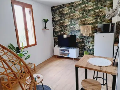 a living room with a tv and a table at Le Jungle Appart, centre ville Narbonne in Narbonne
