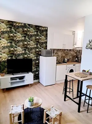 a kitchen with white cabinets and a tv in a room at Le Jungle Appart, centre ville Narbonne in Narbonne