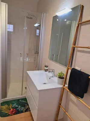 a bathroom with a sink and a shower with a mirror at Le Jungle Appart, centre ville Narbonne in Narbonne