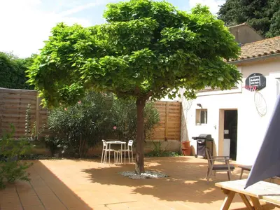 a tree in the middle of a patio at Maison la Soleiade in Carcassonne