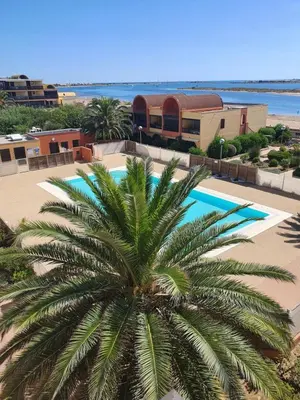 a palm tree in front of a swimming pool at LOCATION STUDIO EN BORD DE PLAGE A GRUISSAN in Gruissan