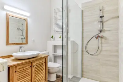a bathroom with a shower and a sink and a toilet at Le Jacques - Proche centre - RDC - Netflix in Carcassonne