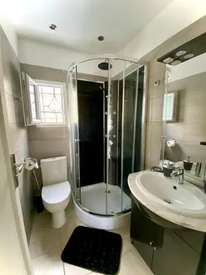 a bathroom with a shower and a toilet and a sink at Maison face à la cité in Carcassonne