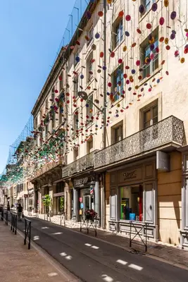 a large building with flowers on the side of it at Ò Grand Carnot/Hyper centre/Proche Gare in Carcassonne