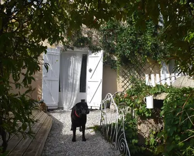 a black dog standing in front of a gate at L'Occitania Chambre d'hotes in Puivert