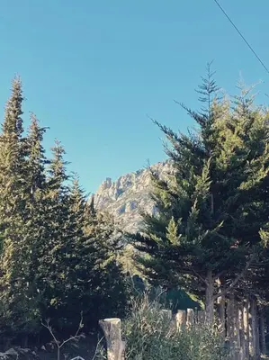 a group of trees in front of a mountain at Maison de campagne dans un domaine viticole in Tautavel
