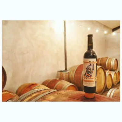 a bottle of wine sitting on top of some barrels at Maison de campagne dans un domaine viticole in Tautavel
