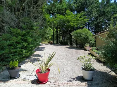 a garden with three potted plants on a gravel path at Gîte en pleine nature - Parc, Piscine, Jacuzzi in Brézilhac