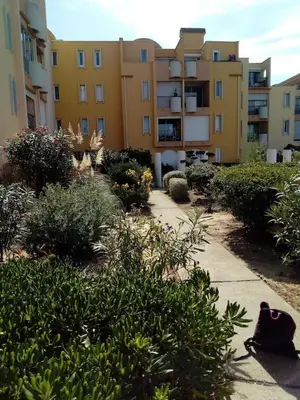 a cat sitting on a sidewalk in front of a building at Gruissan (Aude) Appartement calme, vue sur port de plaisance -Clim, Empl.Parking in Gruissan