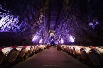 a large cave with barrels of wine in it at Charmant appartement à Sigean - 23 m² - Climatisation in Sigean