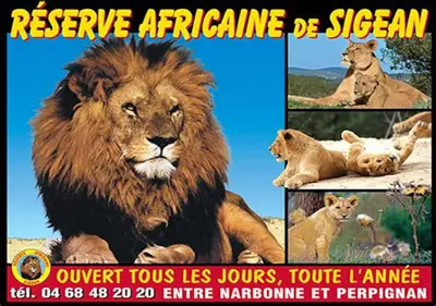 a collage of pictures of a lion and a lion cub at Appartement moderne vue mer à Port-la-Nouvelle — 42 m² in Port-la-Nouvelle
