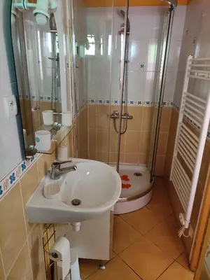 a bathroom with a sink and a shower and a toilet at Confortable maison de village en pierre typique in Molitg les Bains
