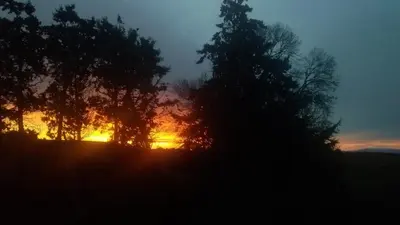 two trees in a field with the sunset in the background at la Bergerie in Salles-sur-lʼHers